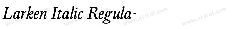 Larken Italic Regula字体转换
